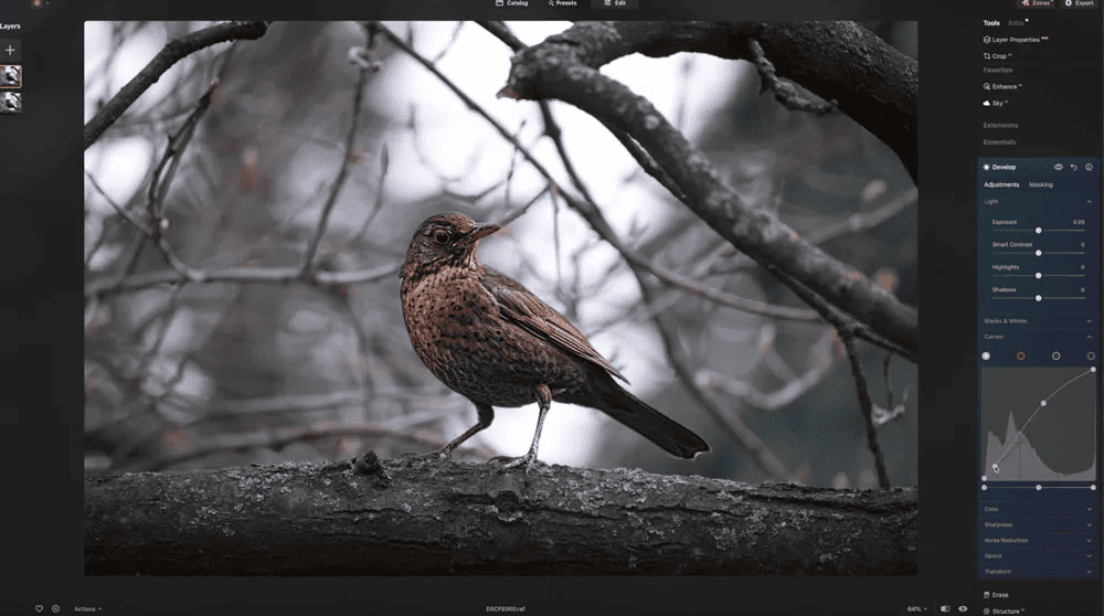 Skylum Luminar Neo Full Indir