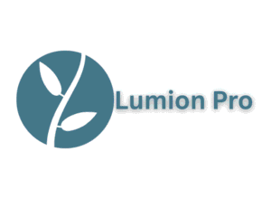 Lumion Pro Full Indir